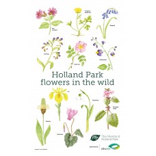 Tea Towel: Holland Park flowers in the wild