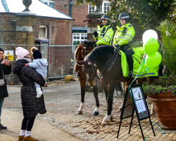 Met Police horses