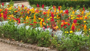 Dutch Garden summer bedding.