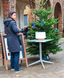 Setting up the Wishing Tree in 2024