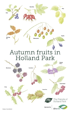 Autumn Fruit tea towel