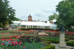 Pimms marquee