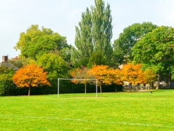 Sports field