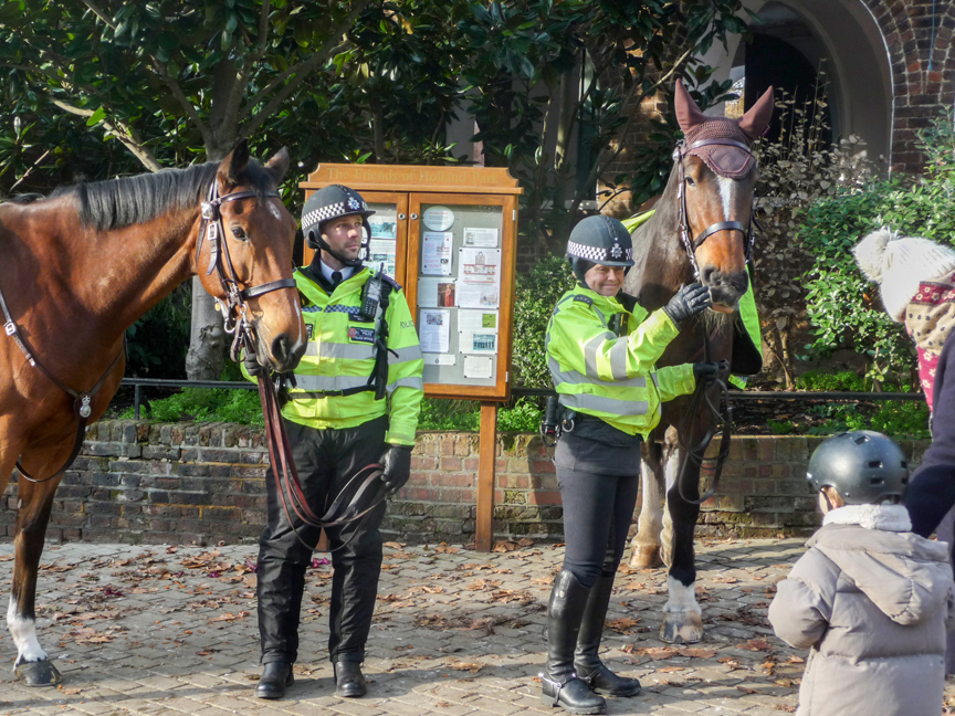 Police horses