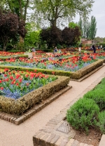 Dutch Garden showing box hedging 