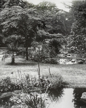 Old Japanese garden showing line of ponds.